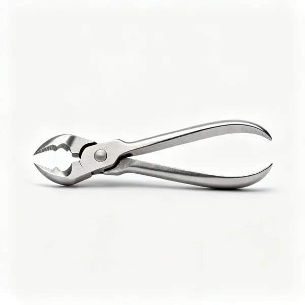 A steel cat's paw nail puller with a sharpened curved claw at each end