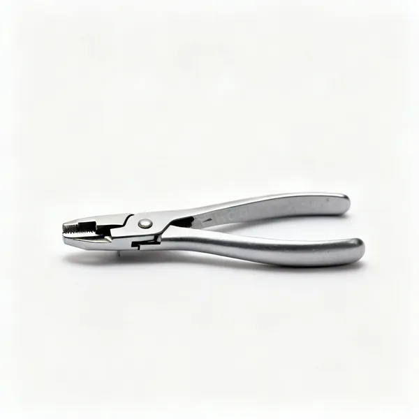 Secret nail punch: A tongue nail punch tool
