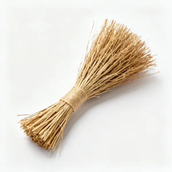 A bundle of natural raffia fibre strands