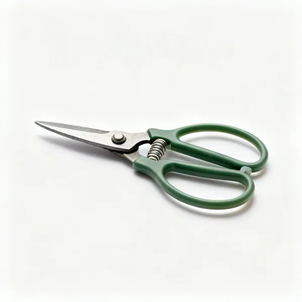 Loop handled snips: A pair of loop handled garden snips with one continuous sprung plastic loop