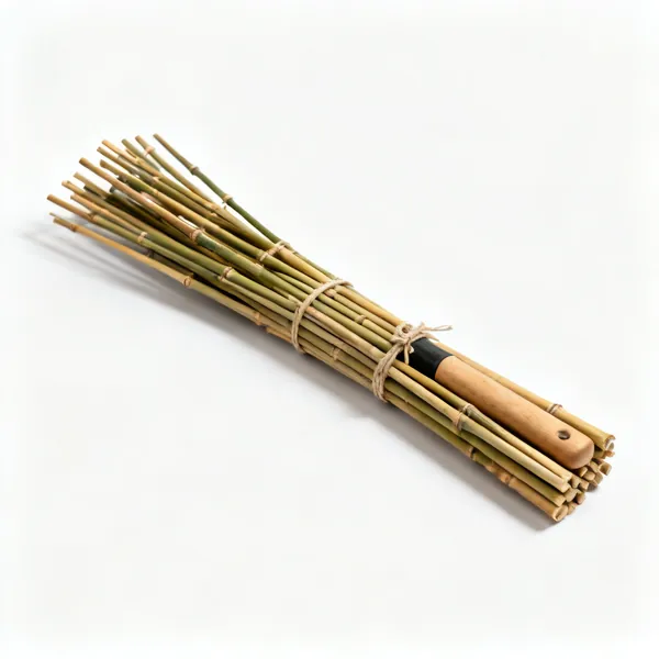 Support canes: A bundle of thin bamboo garden canes tied together