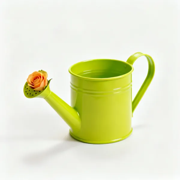Small watering can: A small brightly coloured plastic watering can with a spout and rose