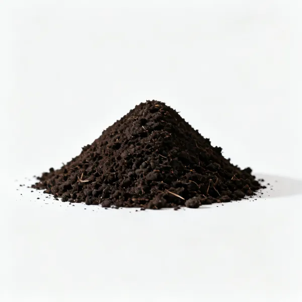 Compost or bark: A small compact heap of dark garden compost, a single conical pile