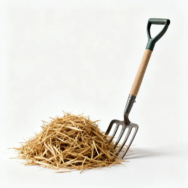 Mulch and fork: A pile of straw mulch beside a garden fork