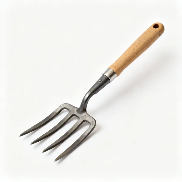 A four tined garden digging fork