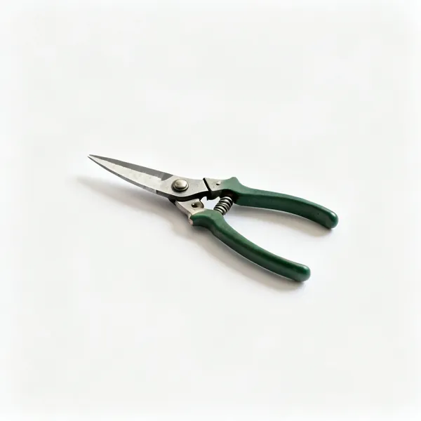 A pair of small one handed topiary shears