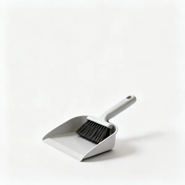 Brush & dustpan: A small brush and dustpan