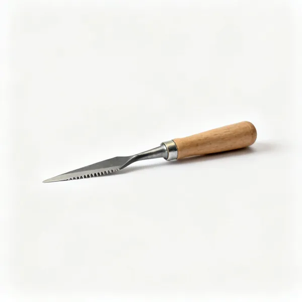 A narrow plugging chisel with a tapered flat blade for raking mortar joints