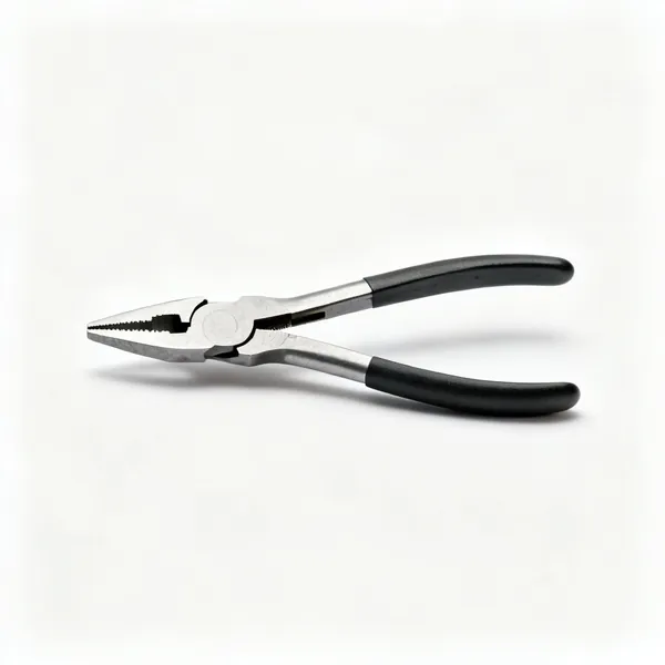 A pair of parallel action pliers
