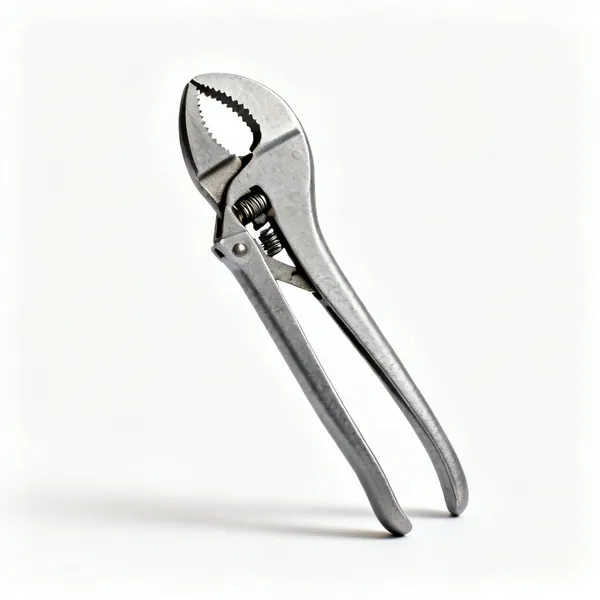 Locking pliers: A pair of locking grip pliers with a curved serrated jaw and adjusting screw
