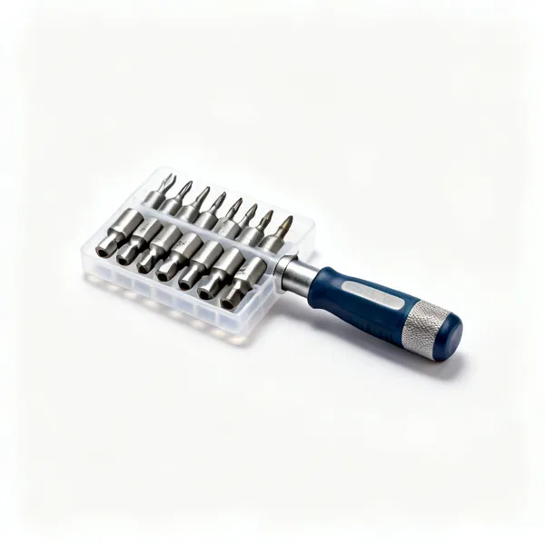 Driver bit set: A set of impact rated driver bits in a plastic holder