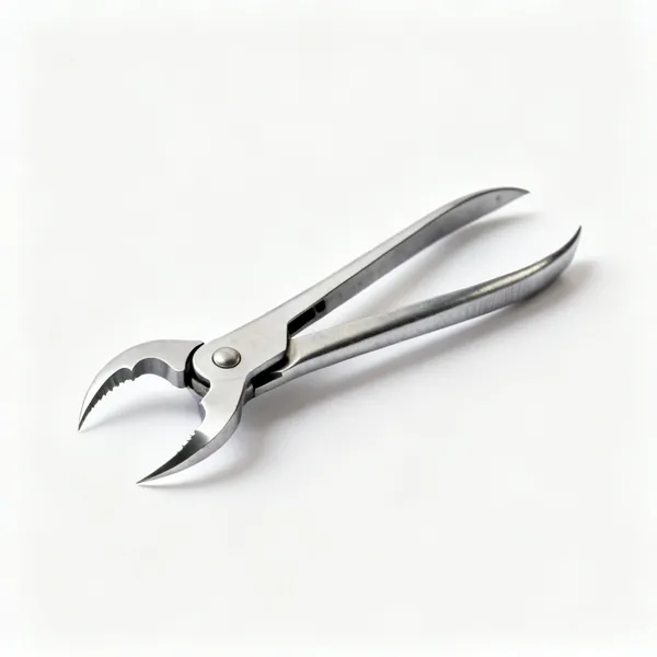 A steel cat's paw nail puller with a sharpened curved claw at each end