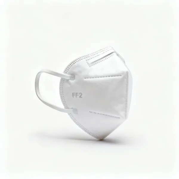 FFP2 mask: An FFP2 disposable dust mask