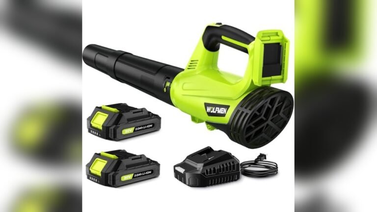 Best Battery Powered Blower