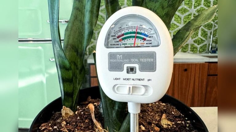 Best Way to Store Digital Level: Ultimate Tips for Longevity